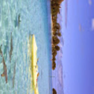 Meet your Posher, Shea